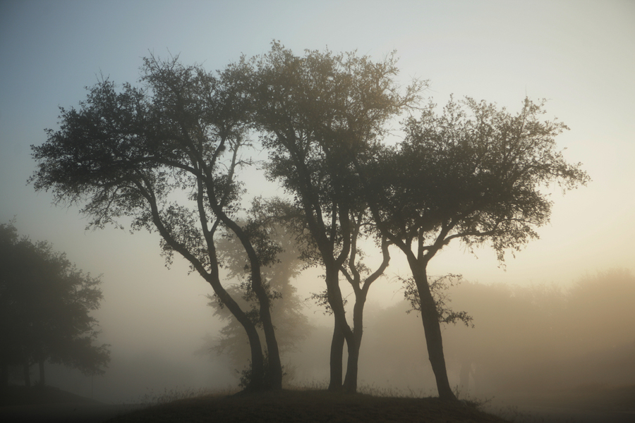 On Thanksgiving Morn : Through Mist and Fog : Magdalena Altnau Photography