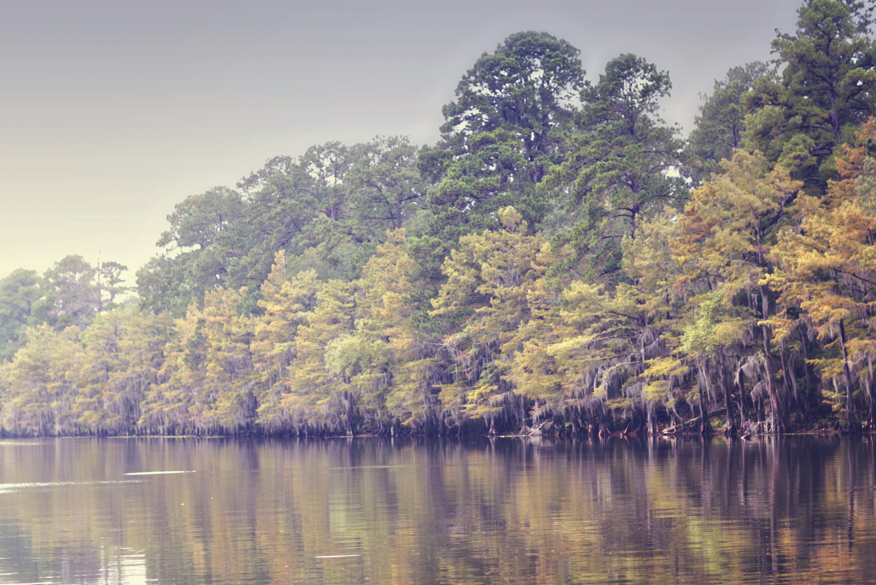  : Fall Splendor : Magdalena Altnau Photography