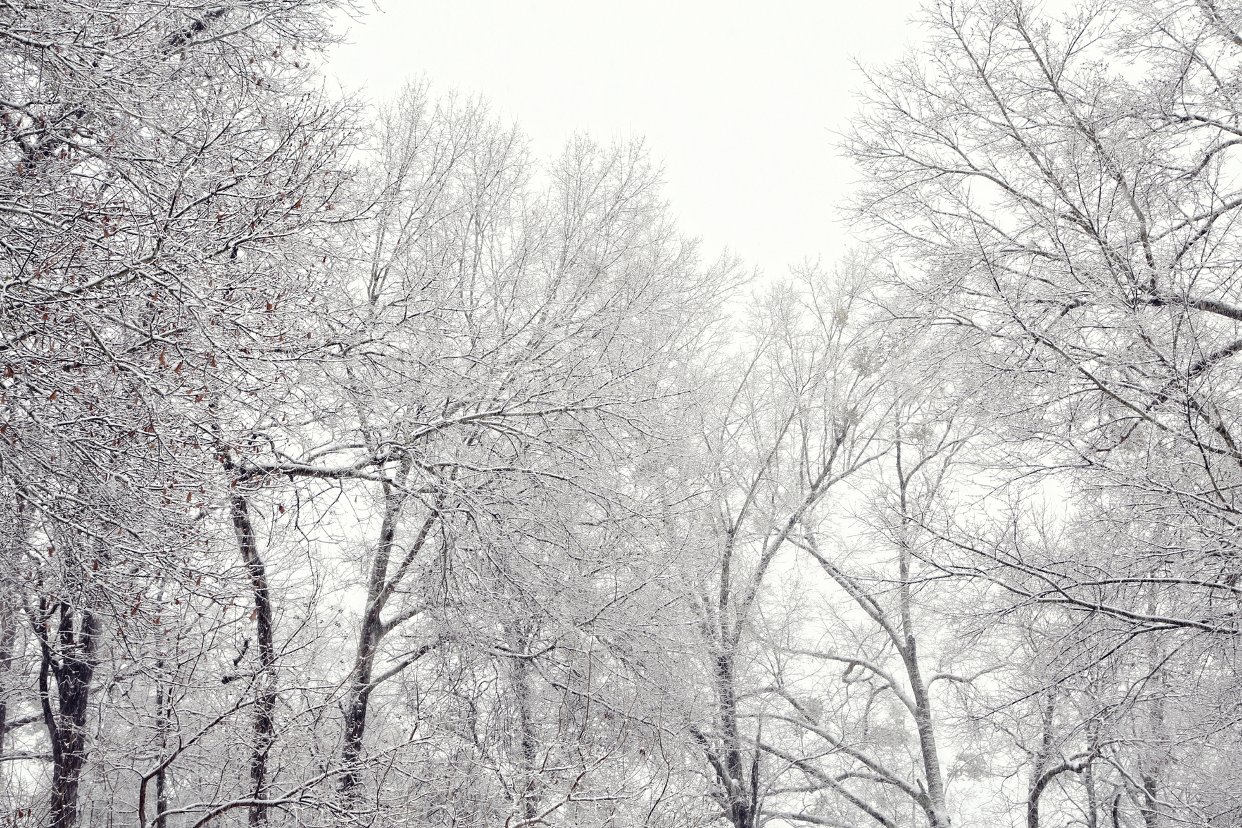 Fairy Tale Snow I : NEW : Magdalena Altnau Photography