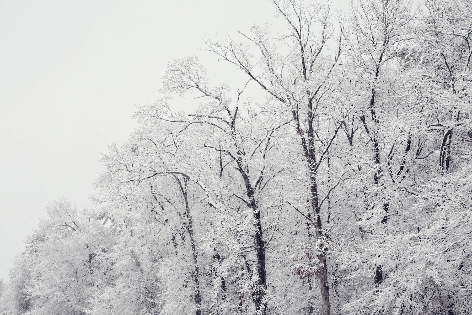 Fairy Tale Snow IV : NEW : Magdalena Altnau Photography