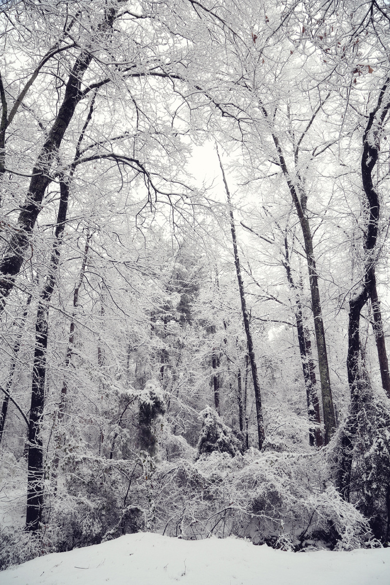 Fairy Tale Snow V : NEW : Magdalena Altnau Photography