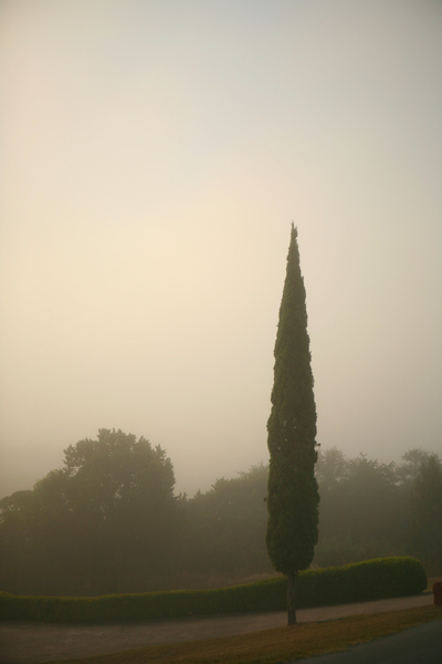 Exhale II : Through Mist and Fog : Magdalena Altnau Photography
