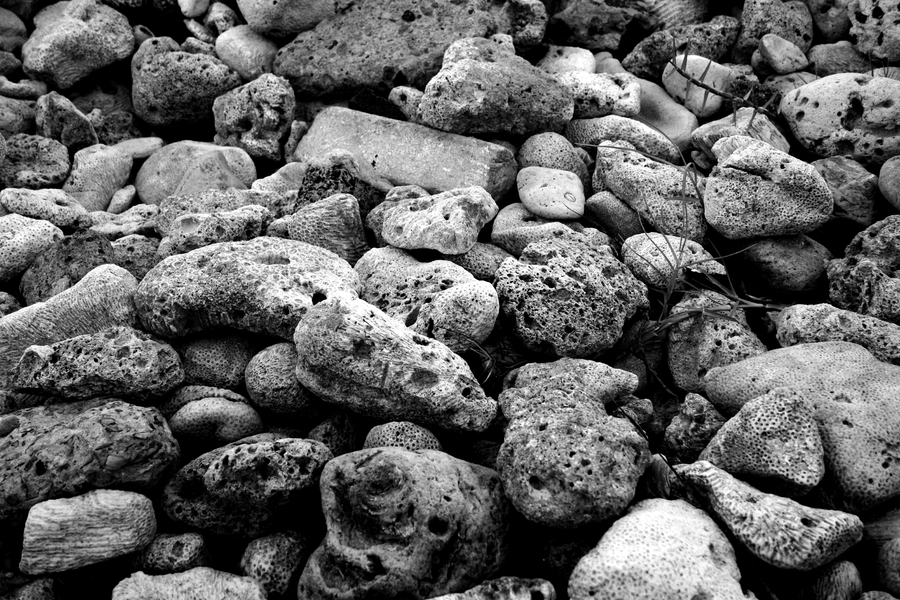 Beach Rocks : St. Lucia : Magdalena Altnau Photography
