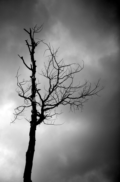 Solemn Stand I : Taos : Magdalena Altnau Photography