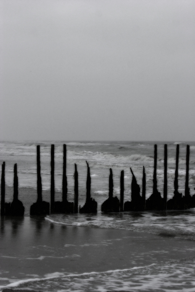 Remnant : Black and White : Magdalena Altnau Photography