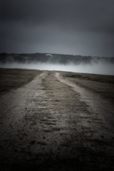 Into the Mist : Through Mist and Fog : Magdalena Altnau Photography