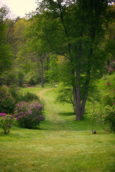 Lilac Valley : Flora : Magdalena Altnau Photography