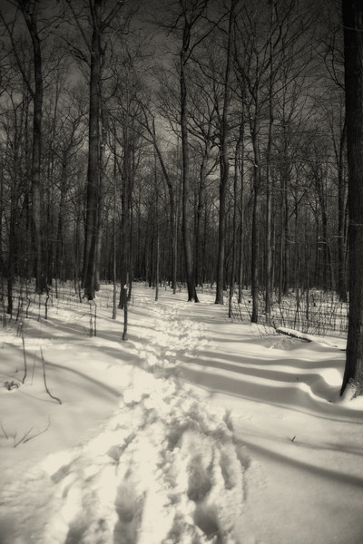 Winter's Embrace : Winter's Embrace : Magdalena Altnau Photography