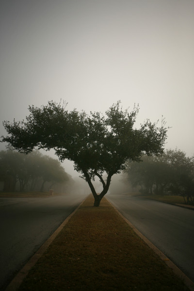 In Silence I : Through Mist and Fog : Magdalena Altnau Photography