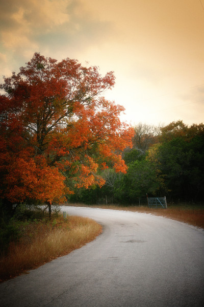 Fall Splendor II : Fall Splendor : Magdalena Altnau Photography