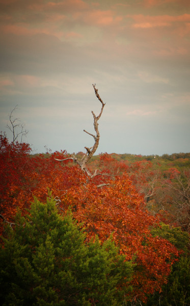 Fall Splendor IV : Fall Splendor : Magdalena Altnau Photography