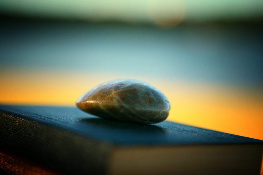 Contemplation : Structure and Form : Magdalena Altnau Photography