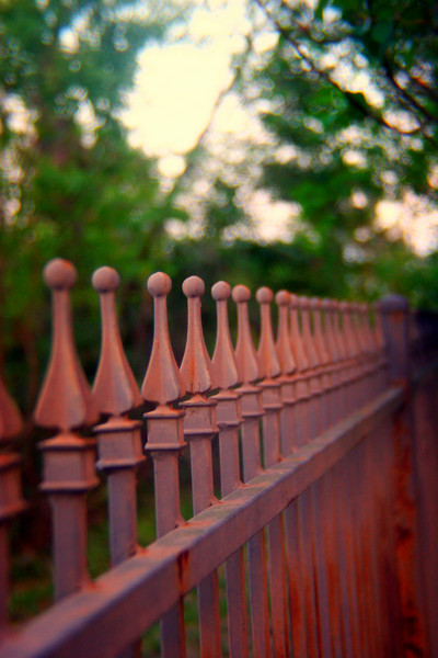 Patina : Structure and Form : Magdalena Altnau Photography