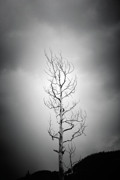 Solemn Stand II : Taos : Magdalena Altnau Photography