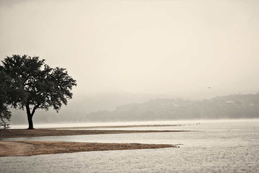 Serenity : Through Mist and Fog : Magdalena Altnau Photography