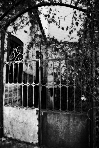 Brama : Structure and Form : Magdalena Altnau Photography