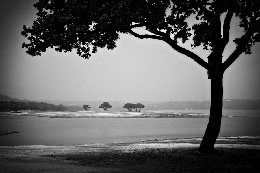 Silhouettes : Black and White : Magdalena Altnau Photography